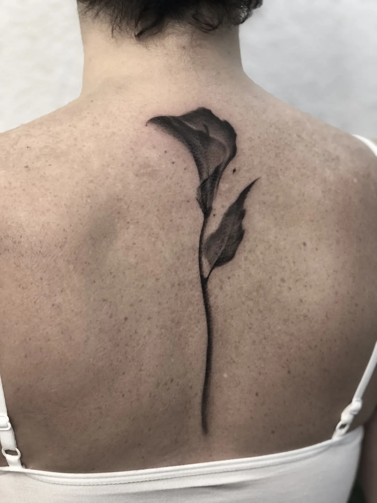 Realism — Calla lily, back